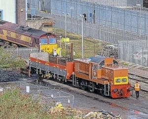 Golden ‘Teddy Bear’ to star at Didcot event