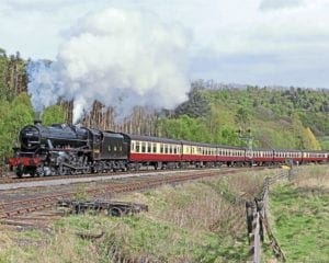 5428 Eric Treacy departs Levisham on the 16.00pm Pickering to Grosmont