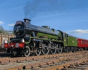 Bahamas and Rocket take centre stage at open weekend