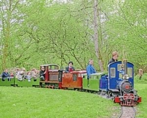 Watford miniature line celebrates diamond jubilee