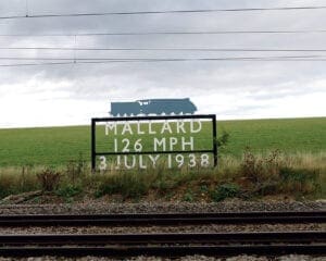 Mallard sign